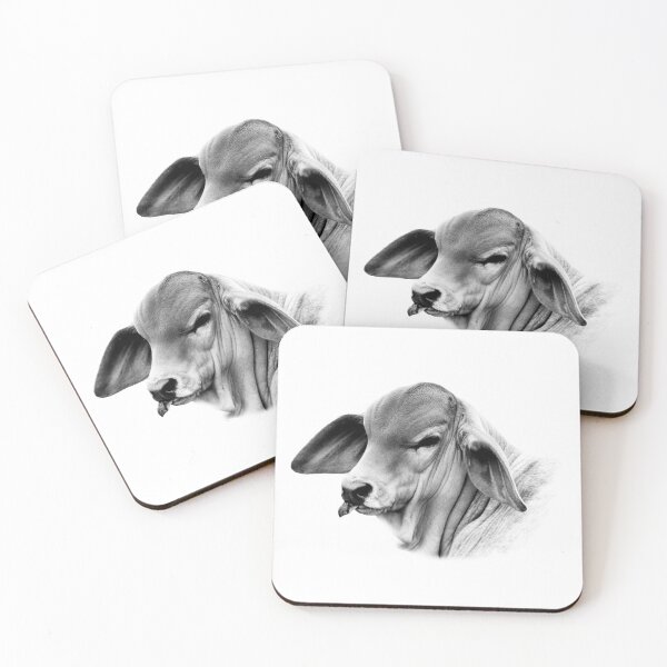 Item preview, BRAHMAN CALF, WALL ART FOR COUNTRY HOME DECOR designed and sold by Barbara Jean Photo Art And Design.