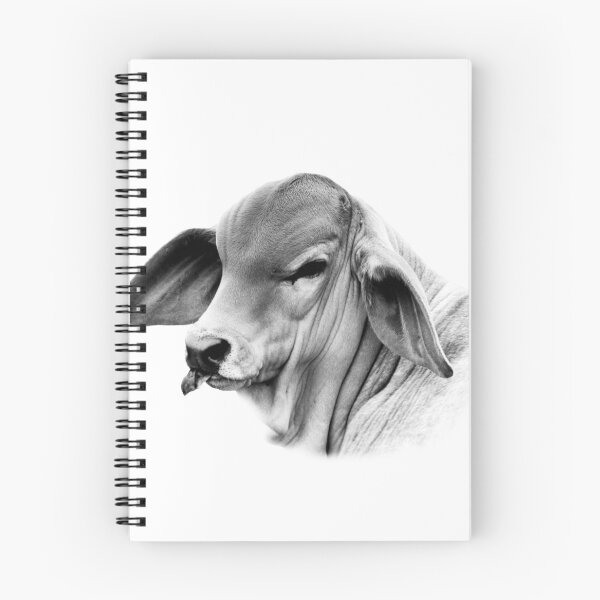 Item preview, BRAHMAN CALF, WALL ART FOR COUNTRY HOME DECOR designed and sold by Barbara Jean Photo Art And Design.