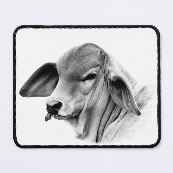 Item preview, BRAHMAN CALF, WALL ART FOR COUNTRY HOME DECOR designed and sold by Barbara Jean Photo Art And Design.