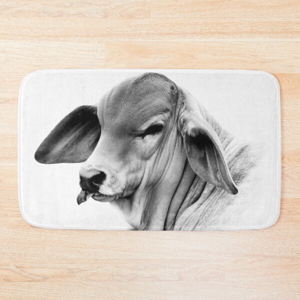 Item preview, BRAHMAN CALF, WALL ART FOR COUNTRY HOME DECOR designed and sold by Barbara Jean Photo Art And Design.