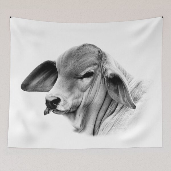 Item preview, BRAHMAN CALF, WALL ART FOR COUNTRY HOME DECOR designed and sold by Barbara Jean Photo Art And Design.