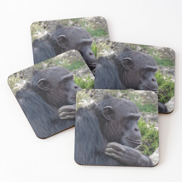 Item preview, Contemplative  designed and sold by Stephen Jolly Photography.
