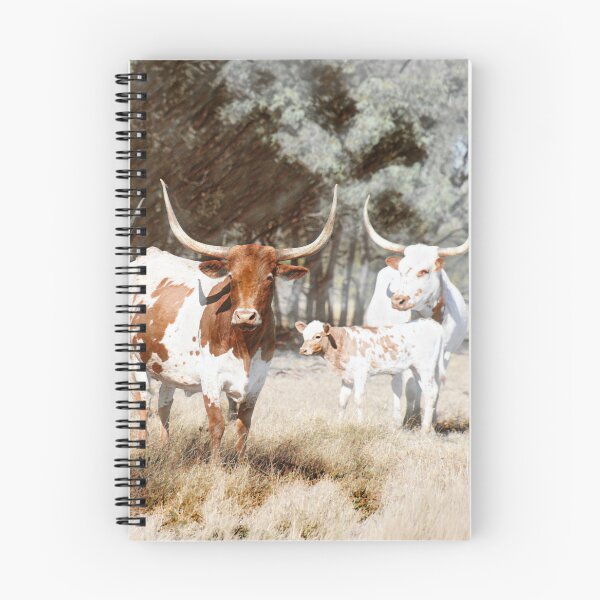 Item preview, LONG HORN CATTLE, HOME DECOR AND WALL ART designed and sold by Barbara Jean Photo Art And Design.