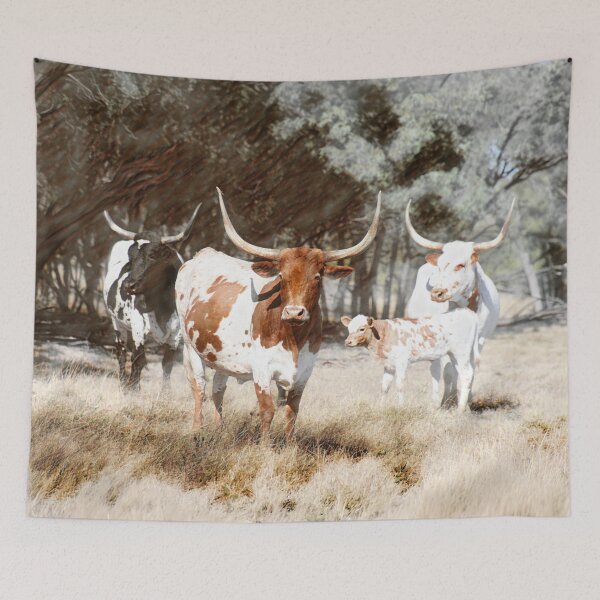 Item preview, LONG HORN CATTLE, HOME DECOR AND WALL ART designed and sold by Barbara Jean Photo Art And Design.