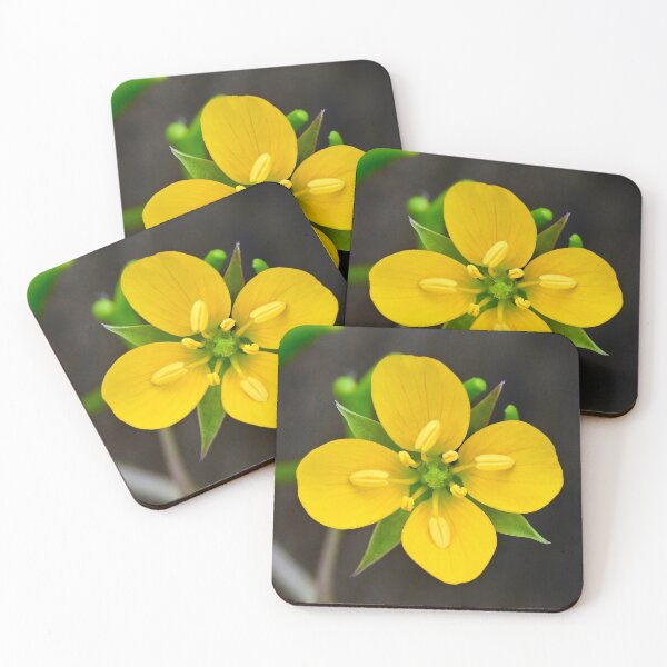 Item preview, Yellow Wildflower designed and sold by Likoca Photography.