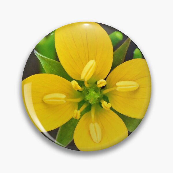 Item preview, Yellow Wildflower designed and sold by Likoca Photography.