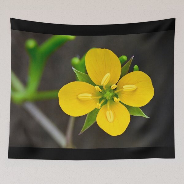Item preview, Yellow Wildflower designed and sold by Likoca Photography.