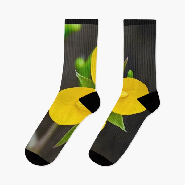 Item preview, Yellow Wildflower designed and sold by Likoca Photography.