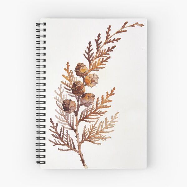 Item preview, Dried Cypress Branch Watercolor - Earthy Cedar Cones Botanical Wall Art designed and sold by sana designer.