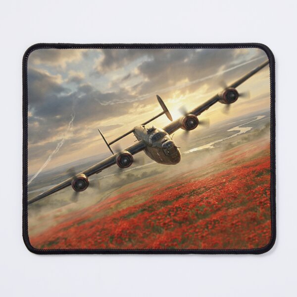 Item preview, B-24 Liberator Poppy Field Illustration designed and sold by Airpower Art.