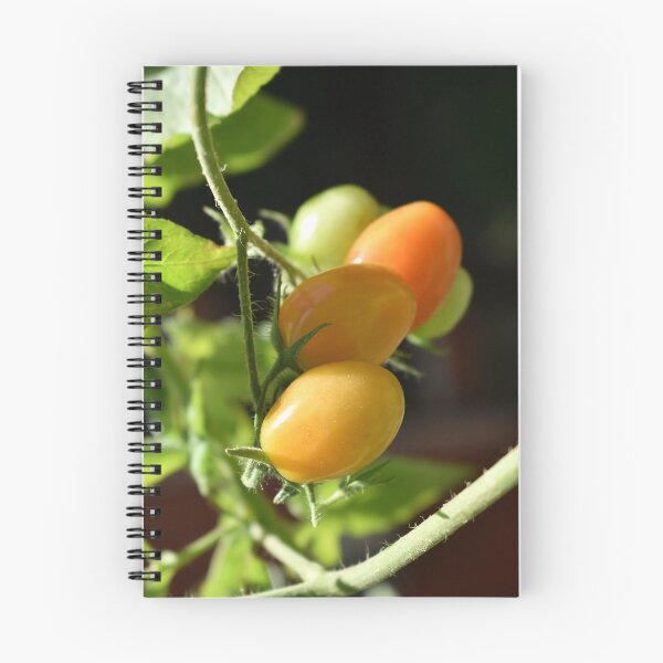 Item preview, Organic cherry tomatoes branch designed and sold by mariya-ivanova.