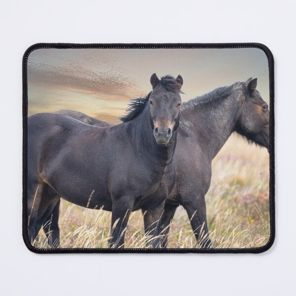 Item preview, Horses Grazing on Goonhilly Downs designed and sold by kathleenjean.