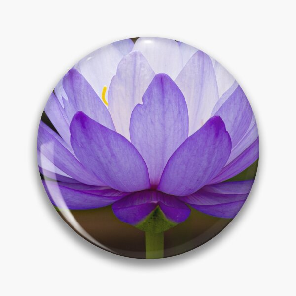 Item preview, Flor de loto lila serena designed and sold by Twisted Light Images.