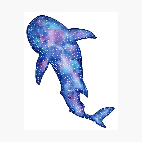 Galaxy Whale Shark Watercolor Painting Photographic Print