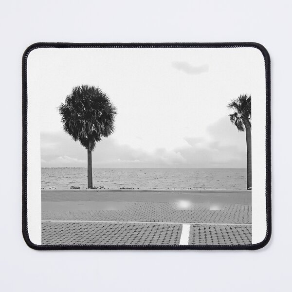 Item preview, Black And White Biscayne designed and sold by gagealita.
