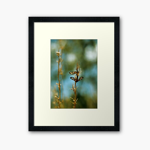 Ah, those memories...  Framed Art Print