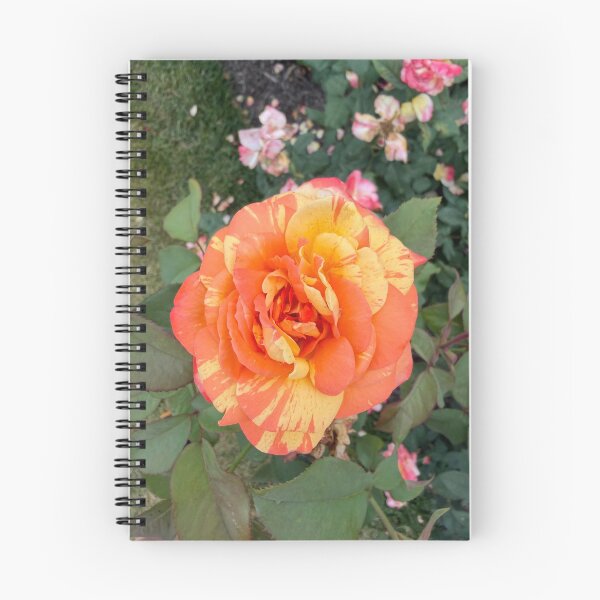Item preview, Orange rose designed and sold by emiliabuntz.