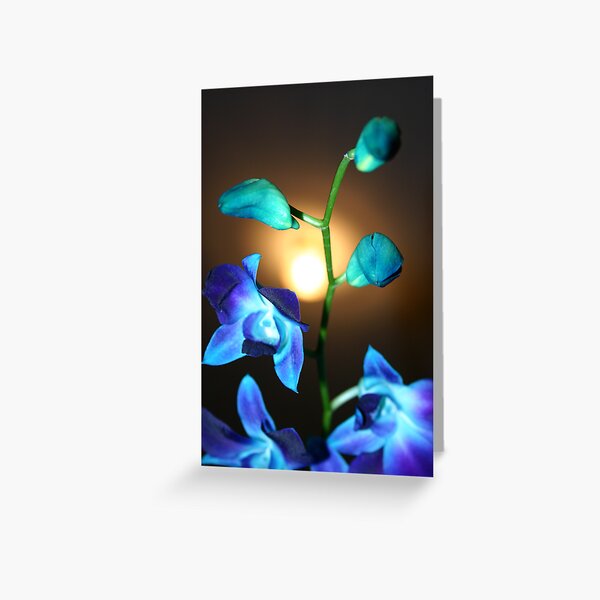 Blue Orchis stem Greeting Card