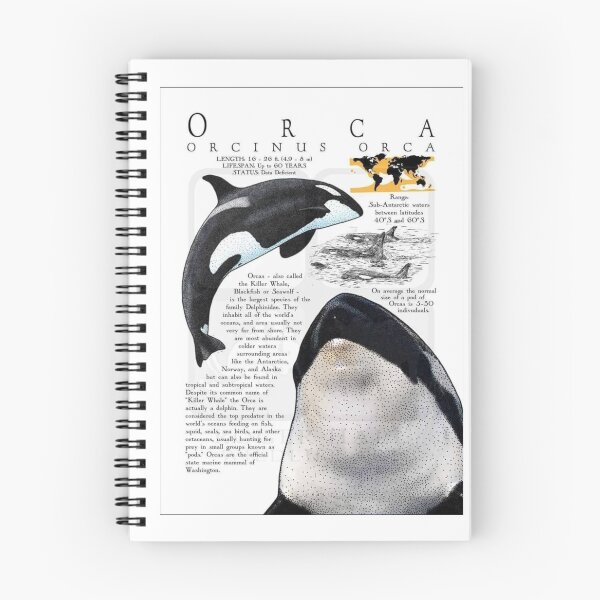 Item preview, Marine Predator and Scientific Grace – Orca Illustration Art designed and sold by WATEKE.