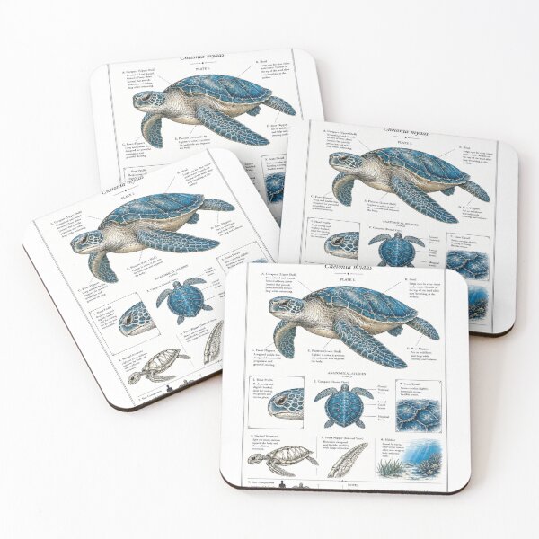 Item preview, Marine Anatomy and Scientific Elegance – Sea Turtle Study Art designed and sold by WATEKE.