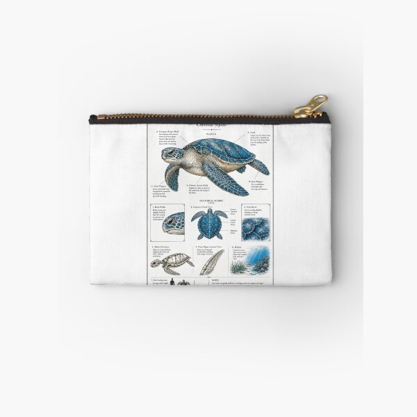 Item preview, Marine Anatomy and Scientific Elegance – Sea Turtle Study Art designed and sold by WATEKE.