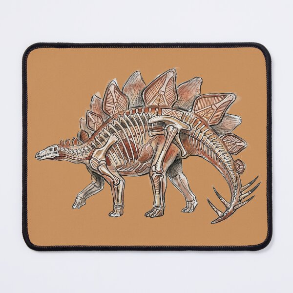 Item preview, Stegosaurus Anatomy - Jurassic Dinosaur Skeletal Cutaway Art Print designed and sold by FreiherrPK.