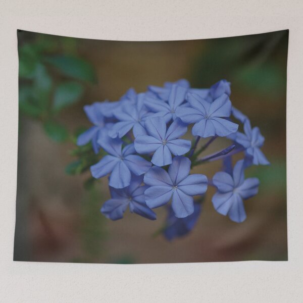 Item preview, A subtle shade of blue designed and sold by Nerone.