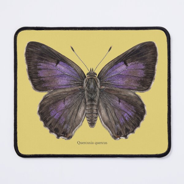 Item preview, The Purple Hairstreak – Quercusia Quercus Vintage Entomology Art Print designed and sold by FreiherrPK.