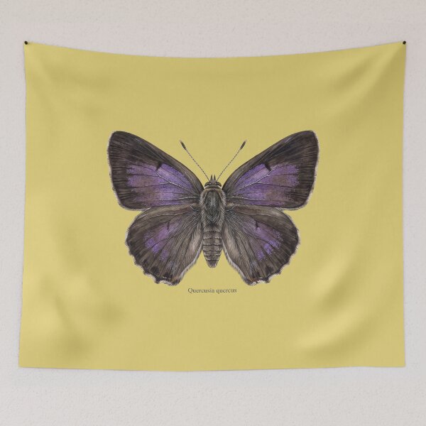 Item preview, The Purple Hairstreak – Quercusia Quercus Vintage Entomology Art Print designed and sold by FreiherrPK.
