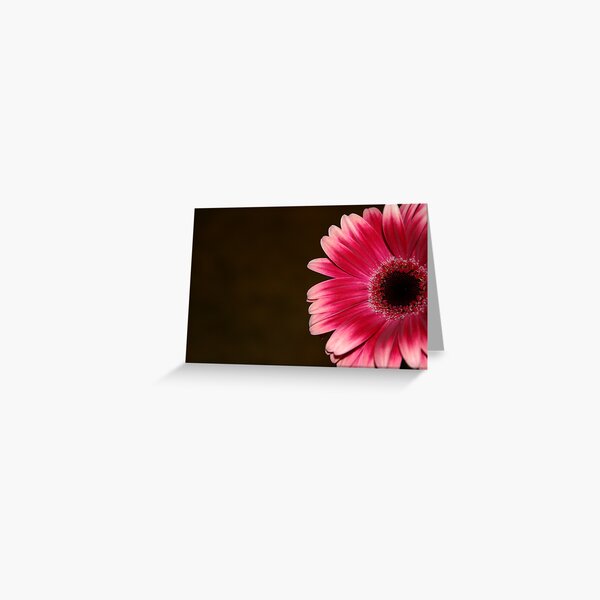 Pink & White Gerbera Greeting Card