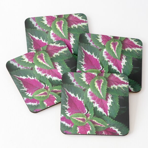 Item preview, Colorful leaves of summer plant designed and sold by olena2552.