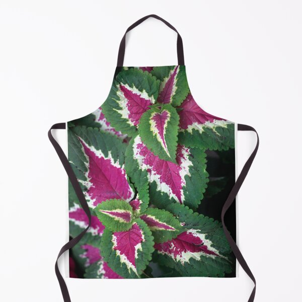 Item preview, Colorful leaves of summer plant designed and sold by olena2552.