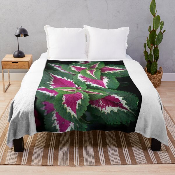 Item preview, Colorful leaves of summer plant designed and sold by olena2552.
