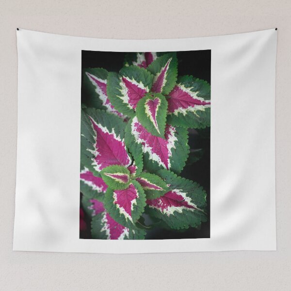 Item preview, Colorful leaves of summer plant designed and sold by olena2552.