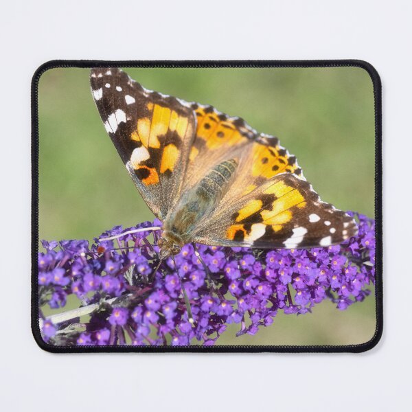 Item preview, Painted Lady butterfly designed and sold by kathleenjean.