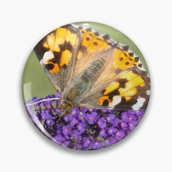 Item preview, Painted Lady butterfly designed and sold by kathleenjean.