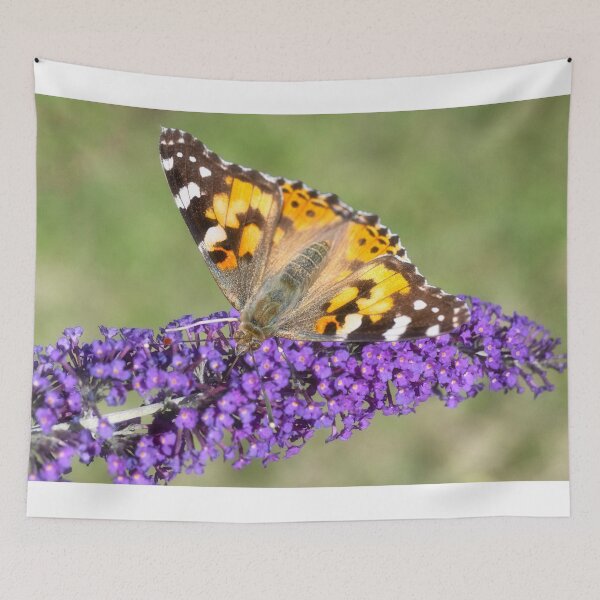 Item preview, Painted Lady butterfly designed and sold by kathleenjean.