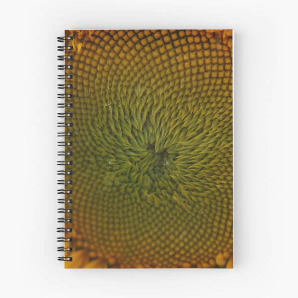 Item preview, Golden Fibonacci – Sunflower Center Macro designed and sold by Pajacoom.