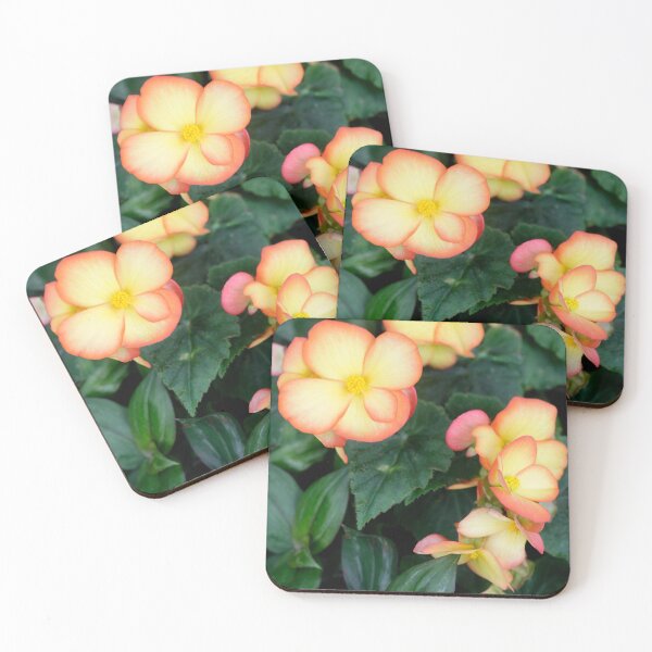 Item preview, Yellow flowers in summer garden designed and sold by olena2552.