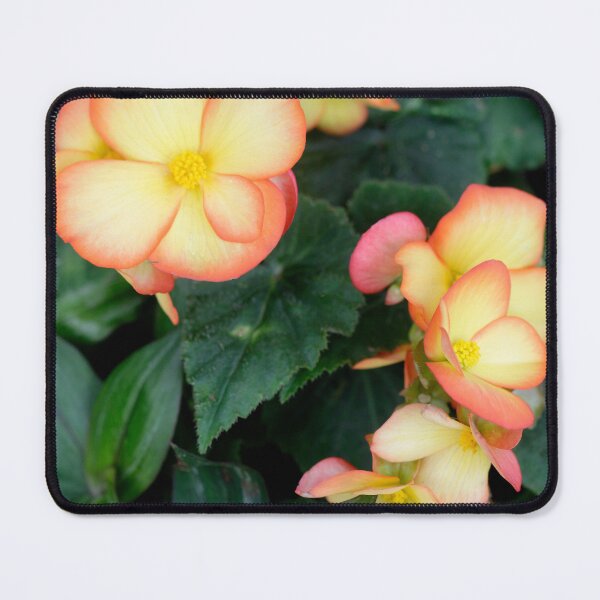 Item preview, Yellow flowers in summer garden designed and sold by olena2552.