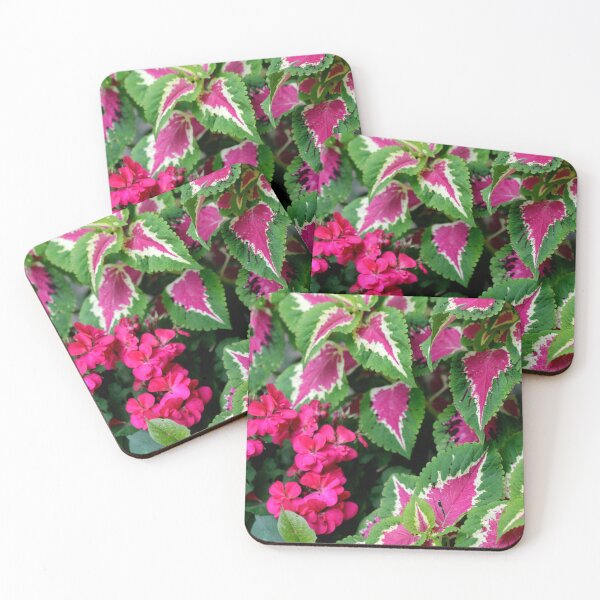 Item preview, Colorful flower in summer garden designed and sold by olena2552.