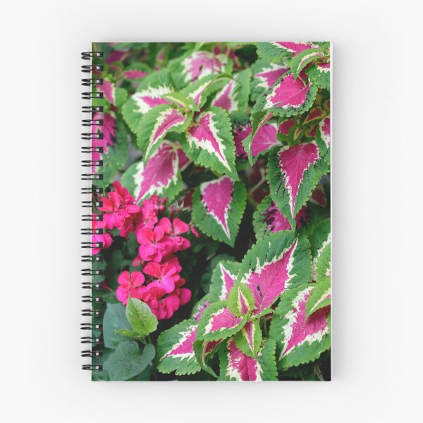 Item preview, Colorful flower in summer garden designed and sold by olena2552.