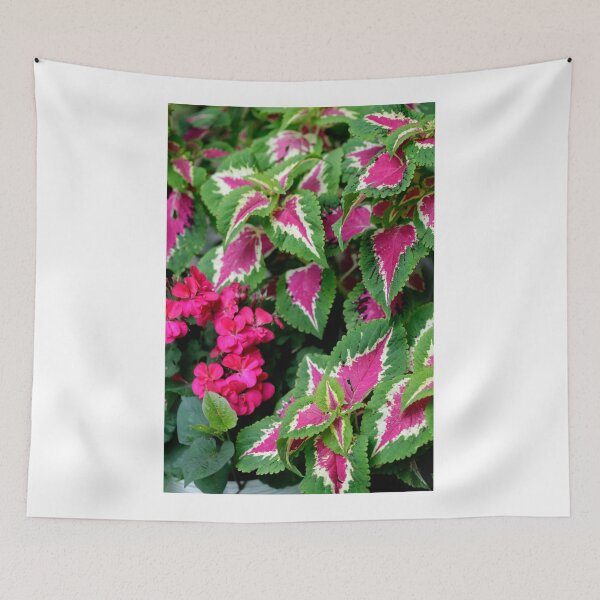 Item preview, Colorful flower in summer garden designed and sold by olena2552.