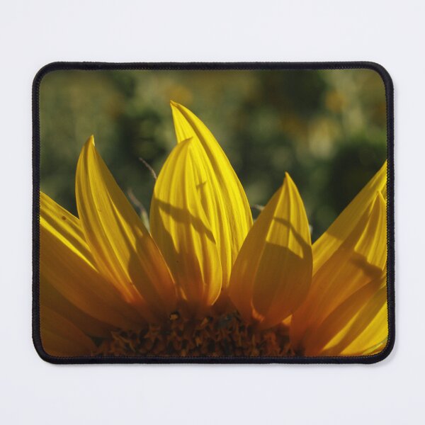 Item preview, Golden Hour Sunflower Petals Macro designed and sold by Pajacoom.