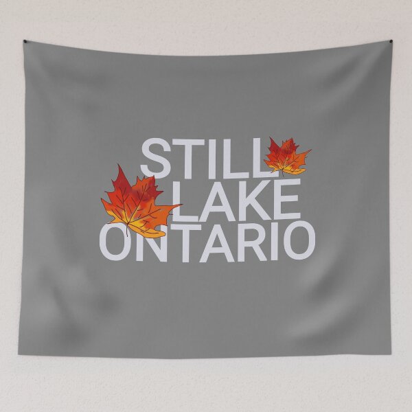 Aperçu de l'œuvre Still Lake, Ontario, Canada 2026 créée et vendue par vibeno1.