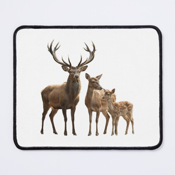 Item preview, Deer family portrait designed and sold by Anne Londez Studio.