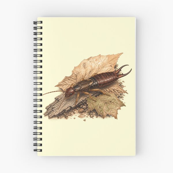 Item preview, Earwig Vintage Naturalist Study designed and sold by BloomStudio1.