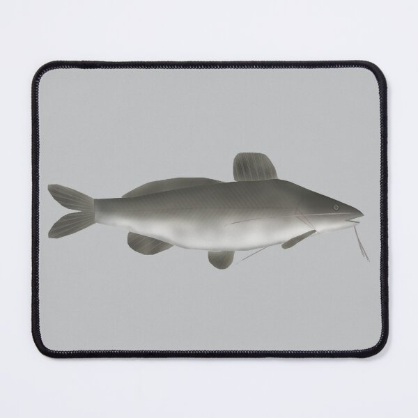 Item preview, South American Catfish designed and sold by fishfolkart.