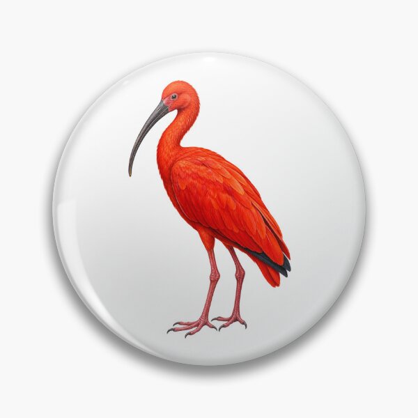 Artikelvorschau, Scharlachroter Ibis entworfen und verkauft von RAMIRELLI.