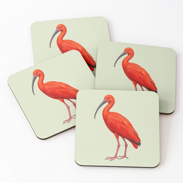 Artikelvorschau, Scharlachroter Ibis entworfen und verkauft von RAMIRELLI.